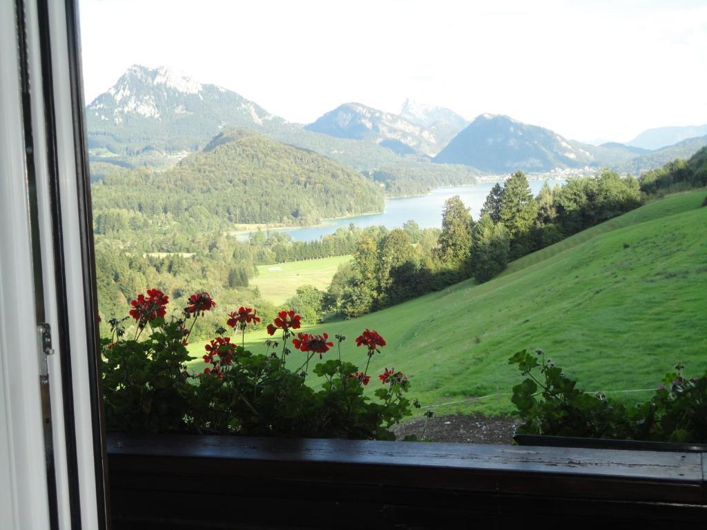 Bauernhof Strumegg Hof bei Salzburg Cameră foto